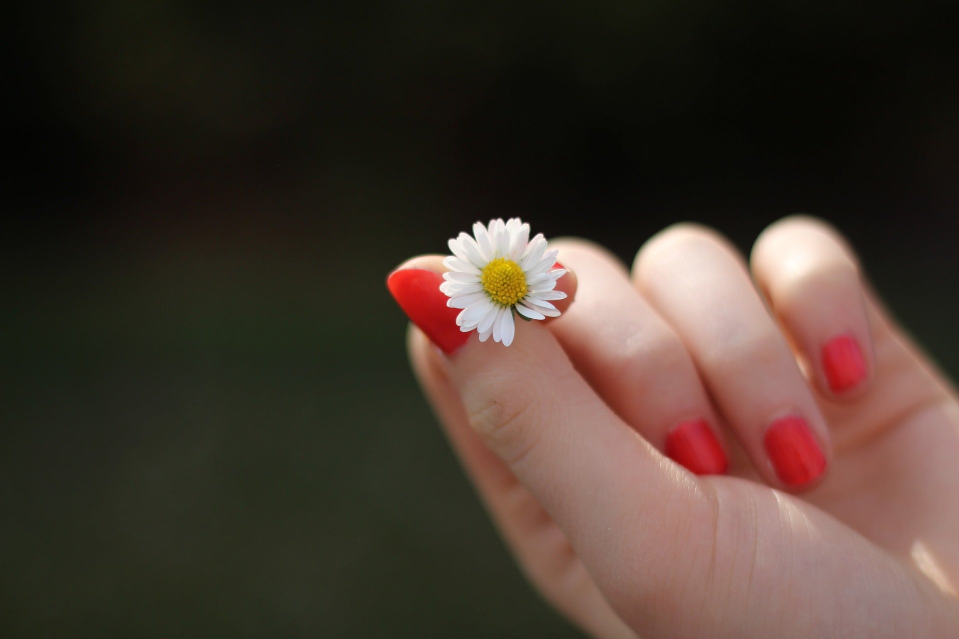 Brüchige Fingernägel: Kann die Naturheilkunde helfen?