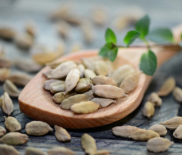 Alles über Kardamomsamen