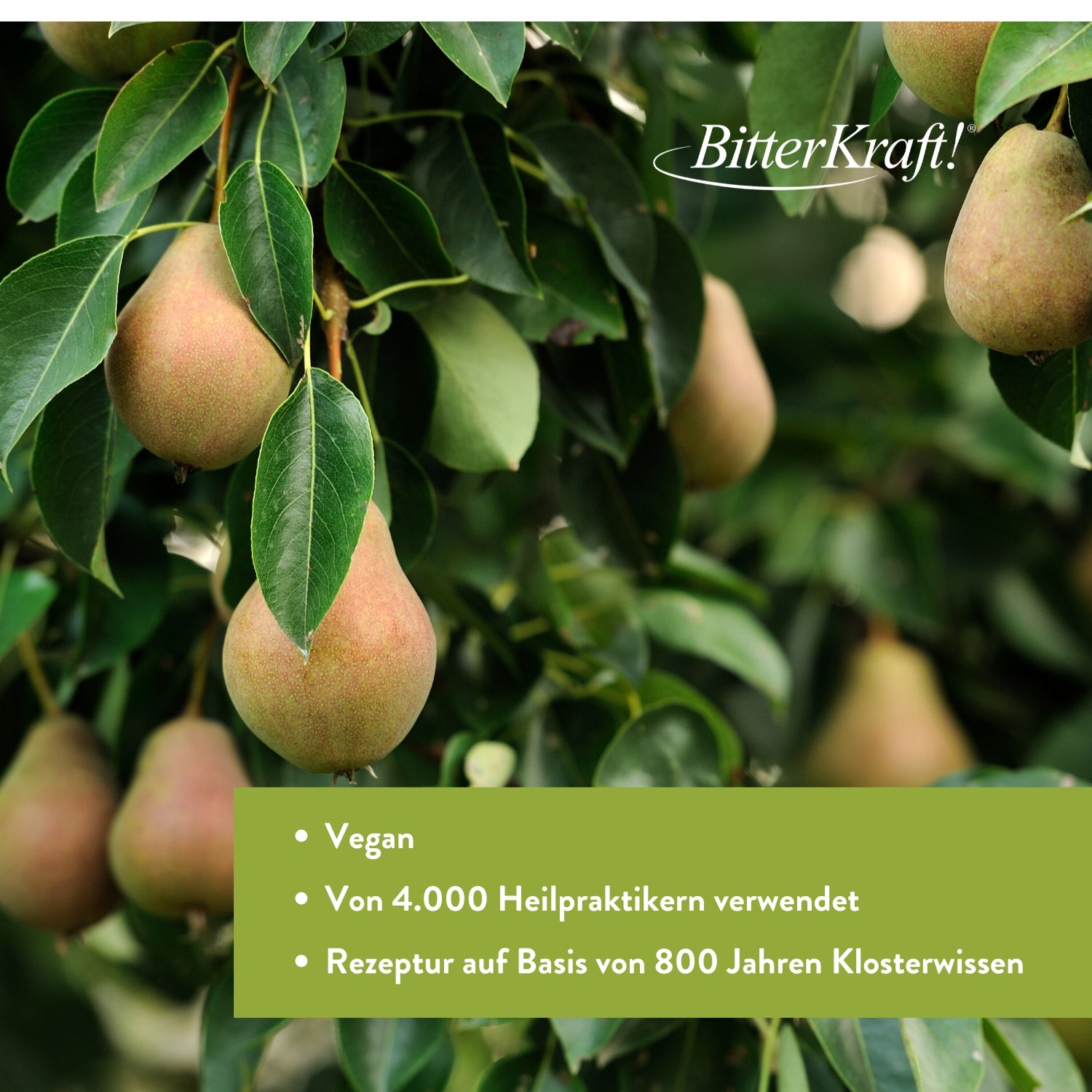 Bärwurz Birnenhonig Mischpulver MHD bis 31.05.2026