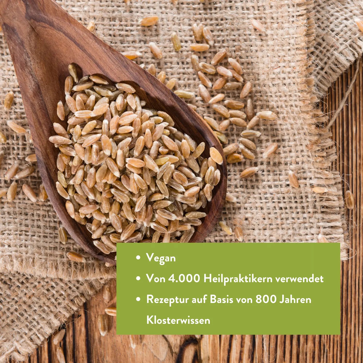 Fasten-Suppe mit Ur-Dinkel (BIO) Bitterkraft GmbH - Bitterkraft