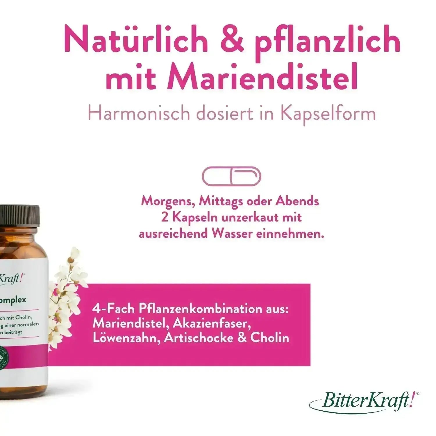 BitterKraft! Leber-Komplex