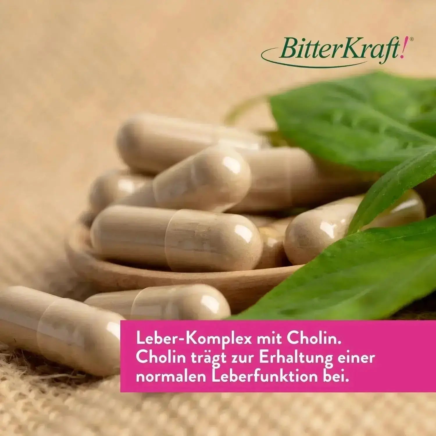 BitterKraft! Leber-Komplex