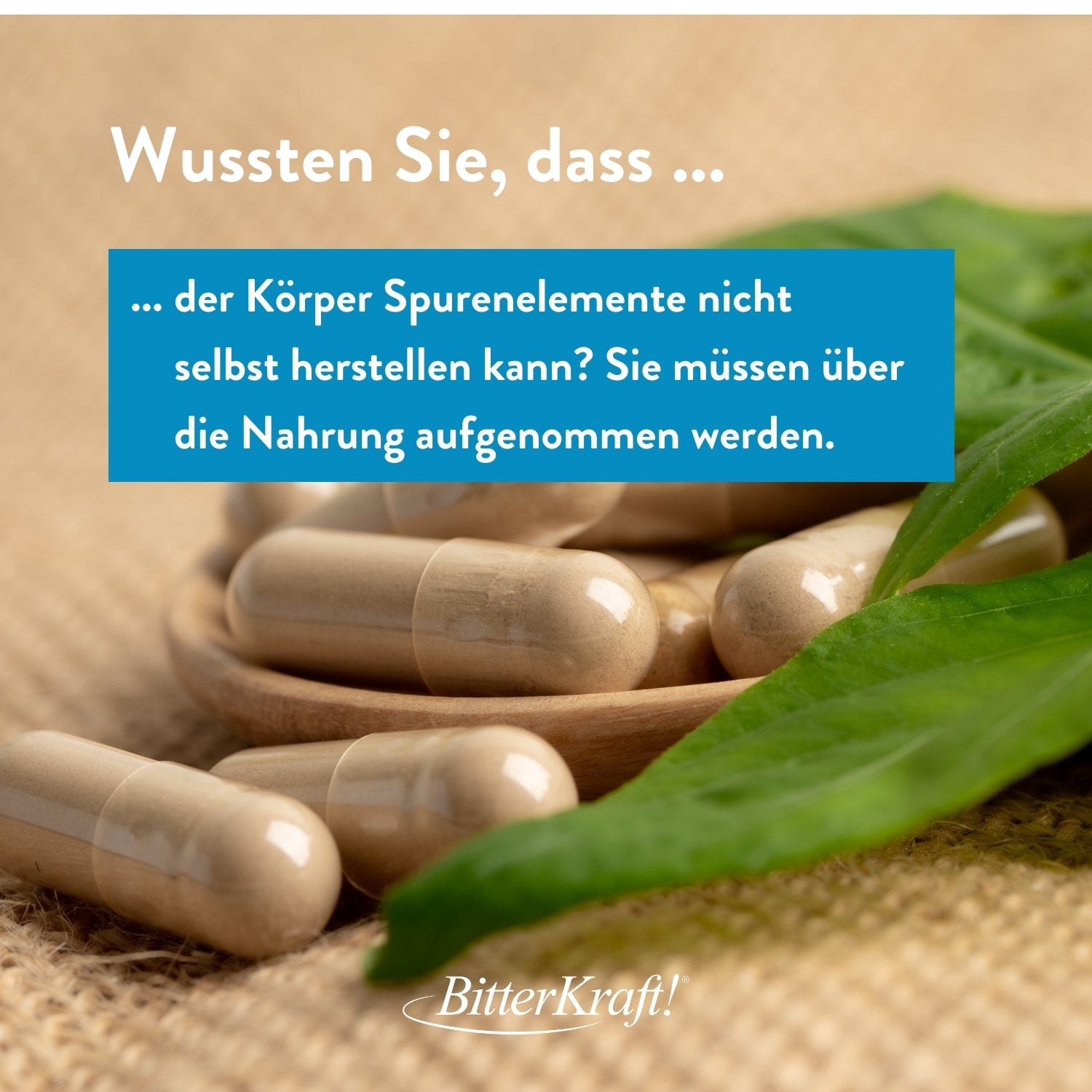 Bindegewebe Komplex – 3er-Sparpaket