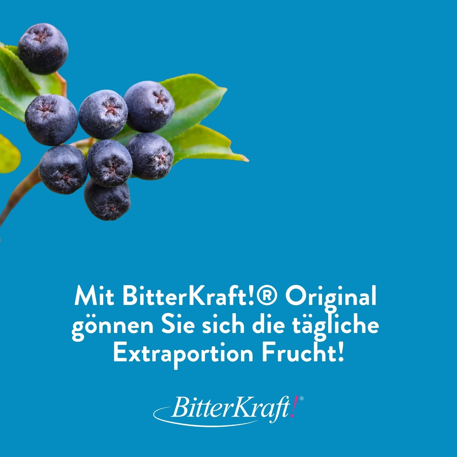 Vitamin Komplex Saft (BIO) 350ml