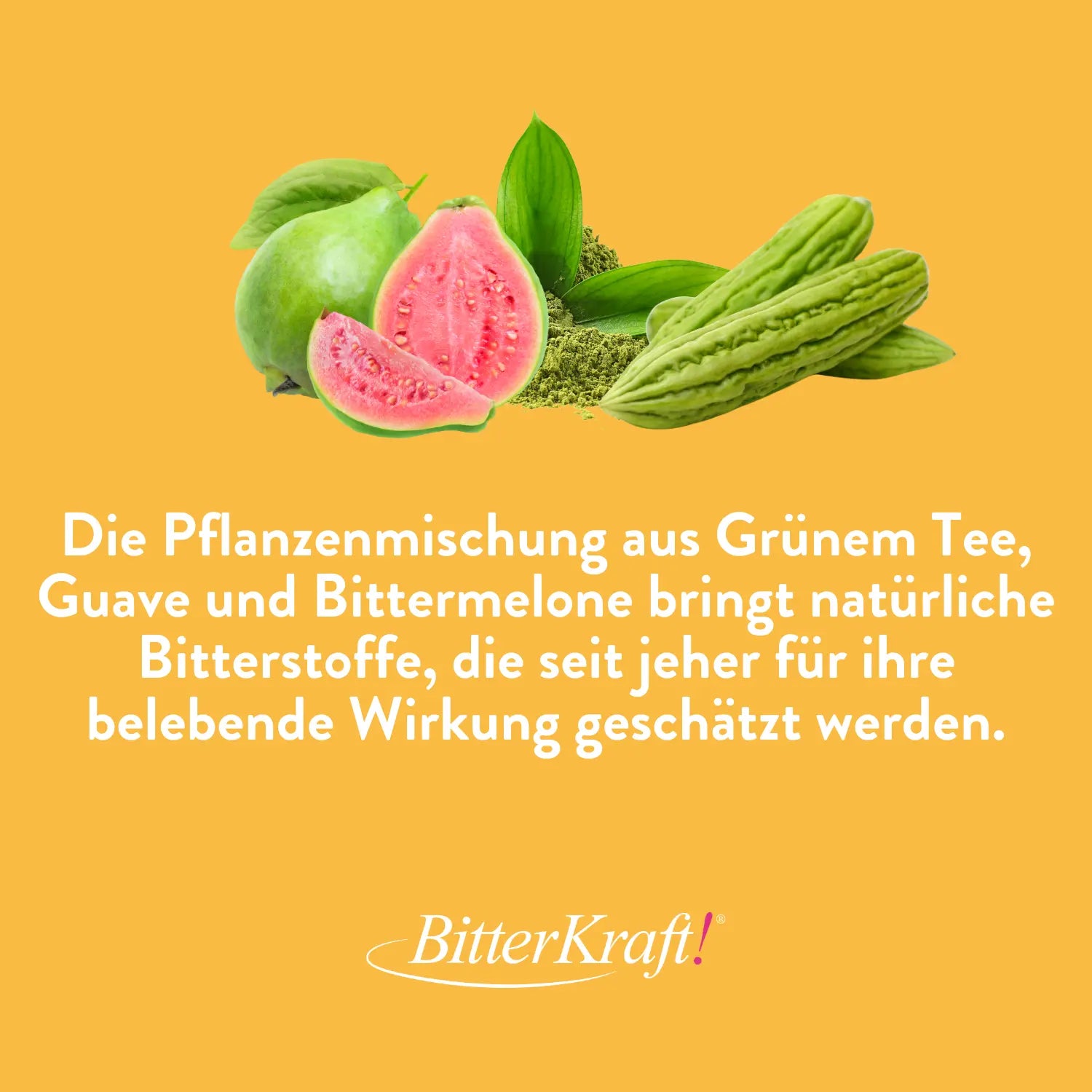 BitterKraft! Stoffwechsel Komplex