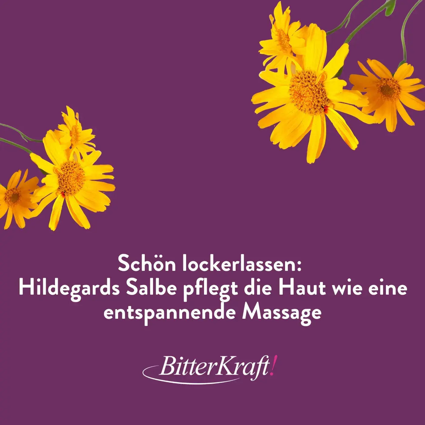 Schulter- und Rückensalbe Hildegard von Bingen Bitterkraft GmbH - Bitterkraft