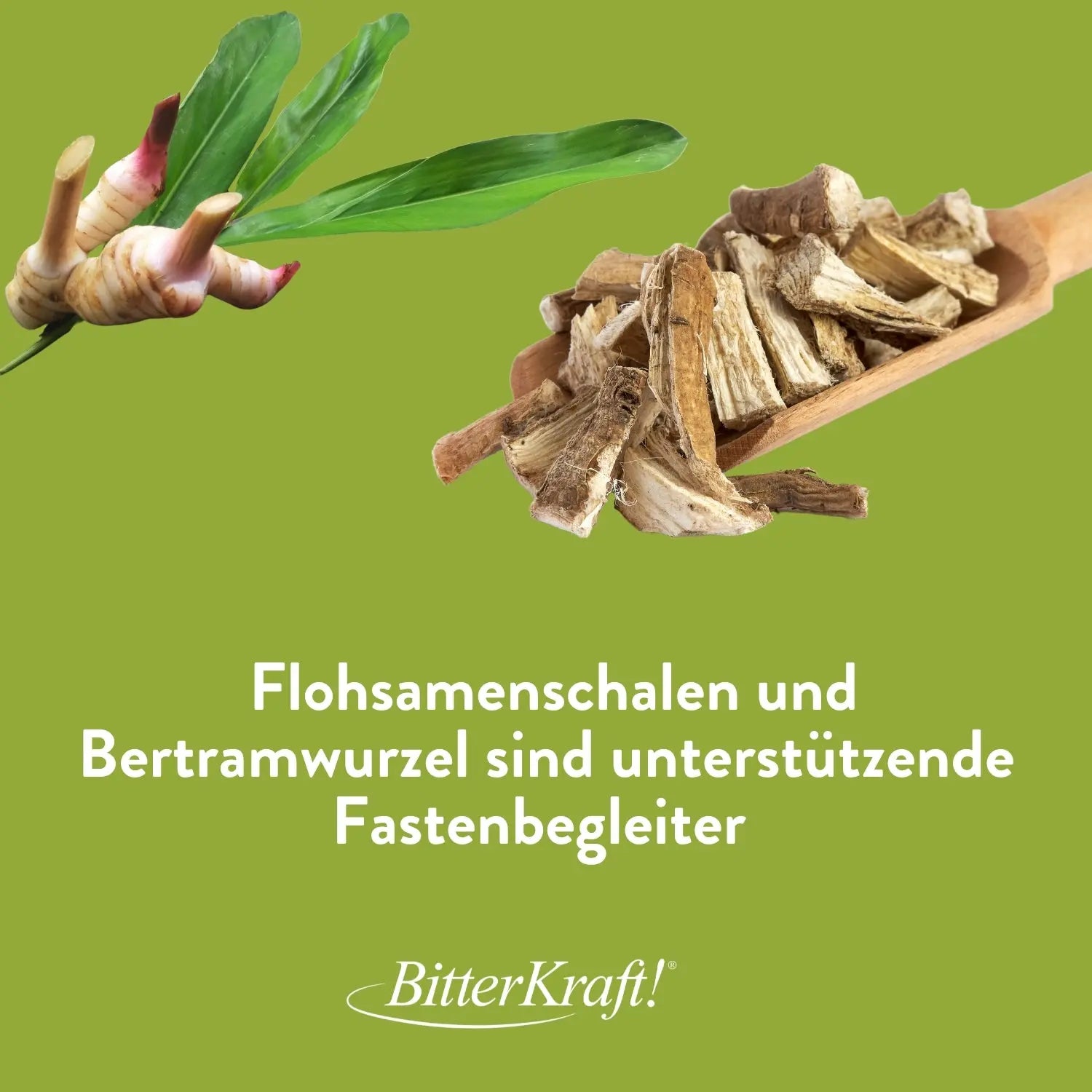 Flohsamenschalen mit 1% Bertramwurzel Bitterkraft GmbH - Bitterkraft