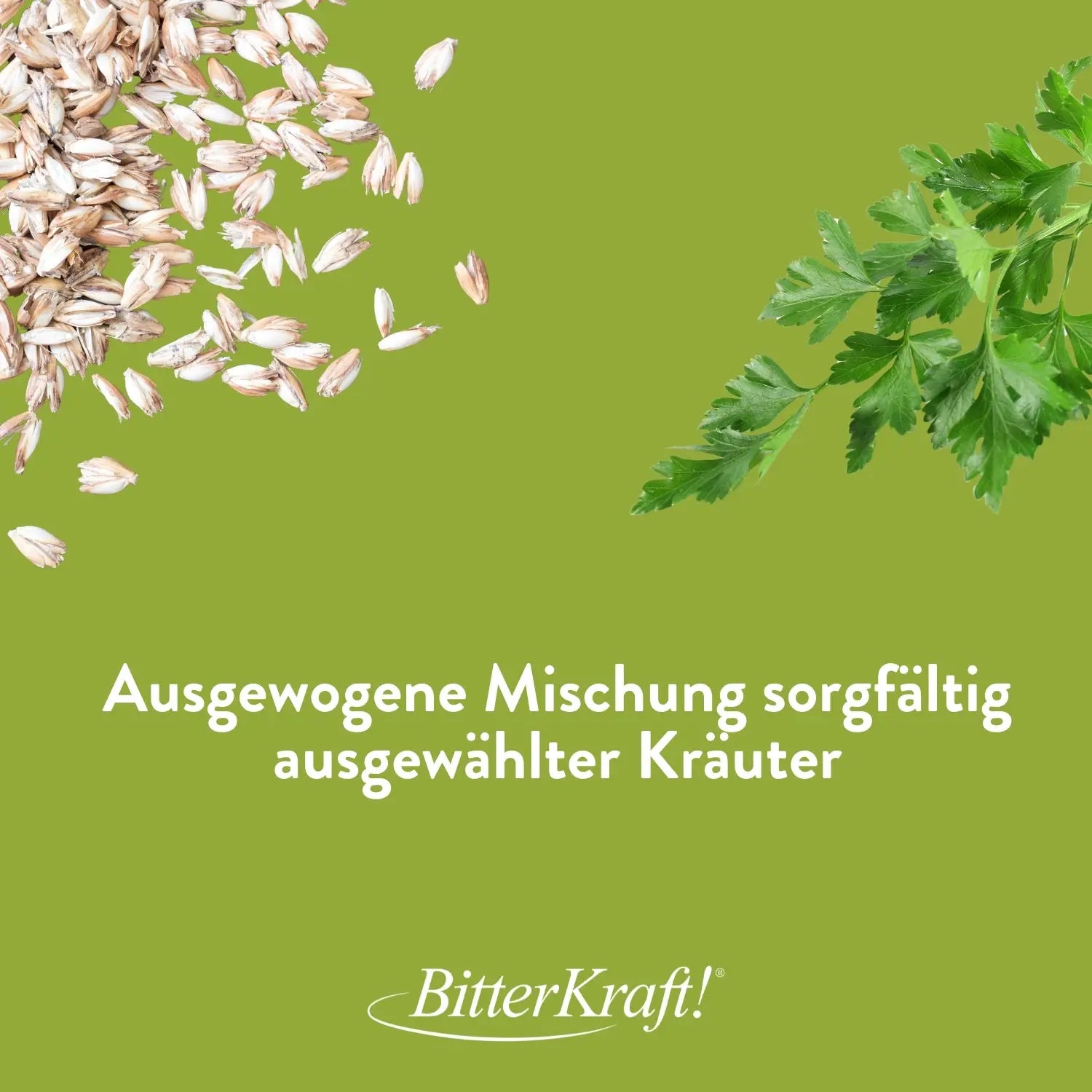 Fasten-Suppe mit Ur-Dinkel (BIO) Bitterkraft GmbH - Bitterkraft