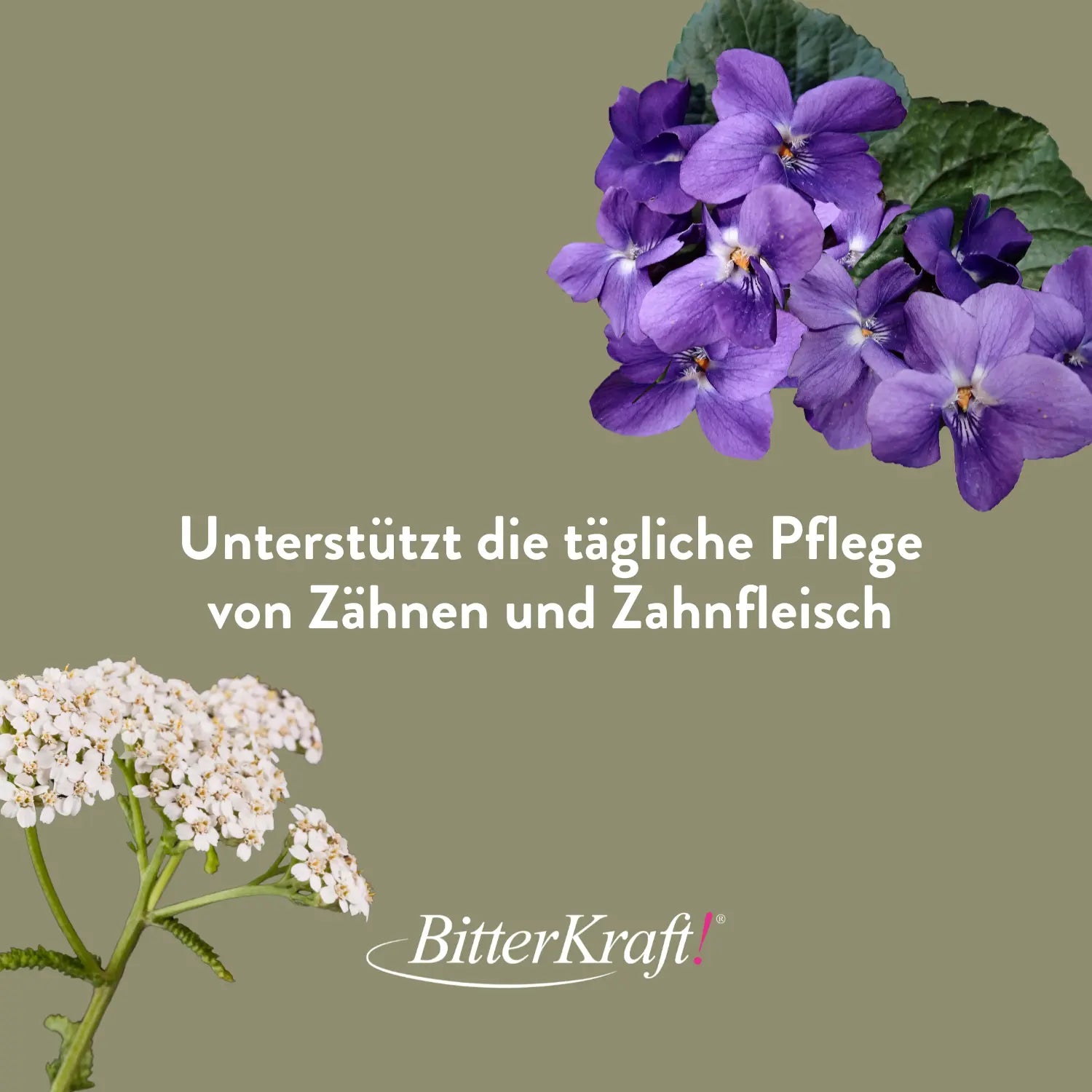 Mundhygiene mit Mundziehöl, Zahncreme und Bambus-Zahnbürste Bitterkraft GmbH - Bitterkraft