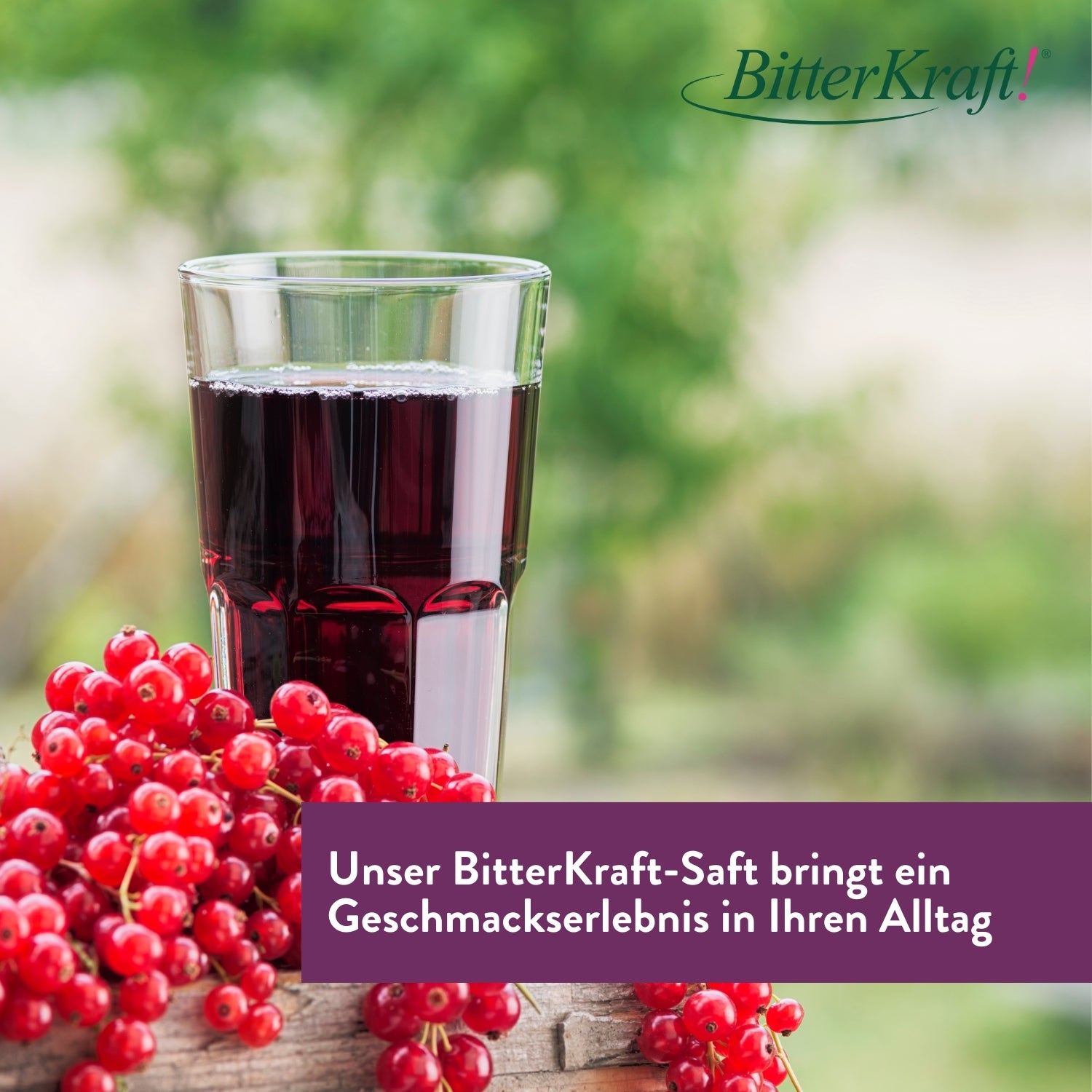 Aronia Vitamin-C-Saft (BIO) 350ml