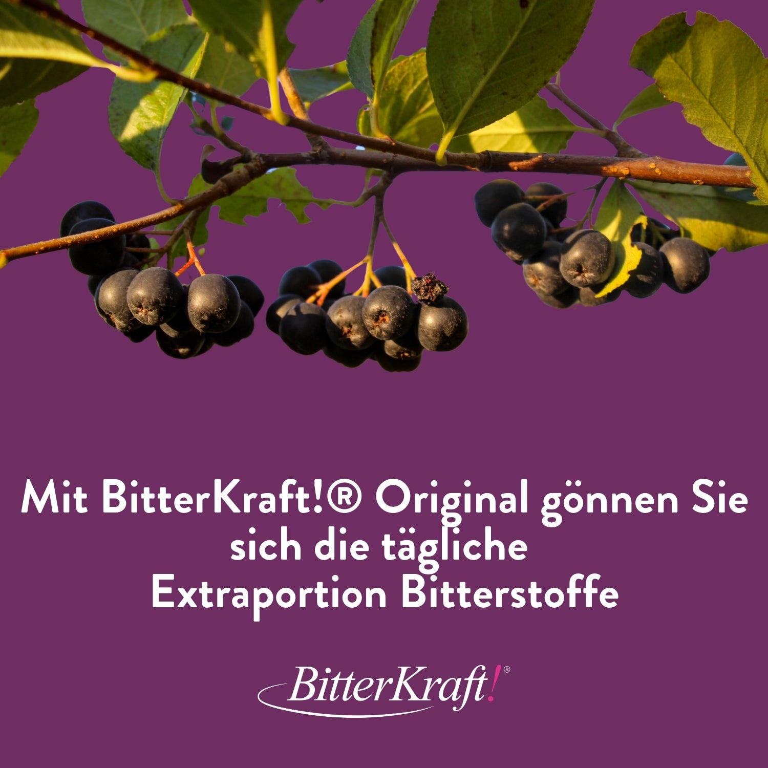Aronia Vitamin-C-Saft (BIO) 350ml