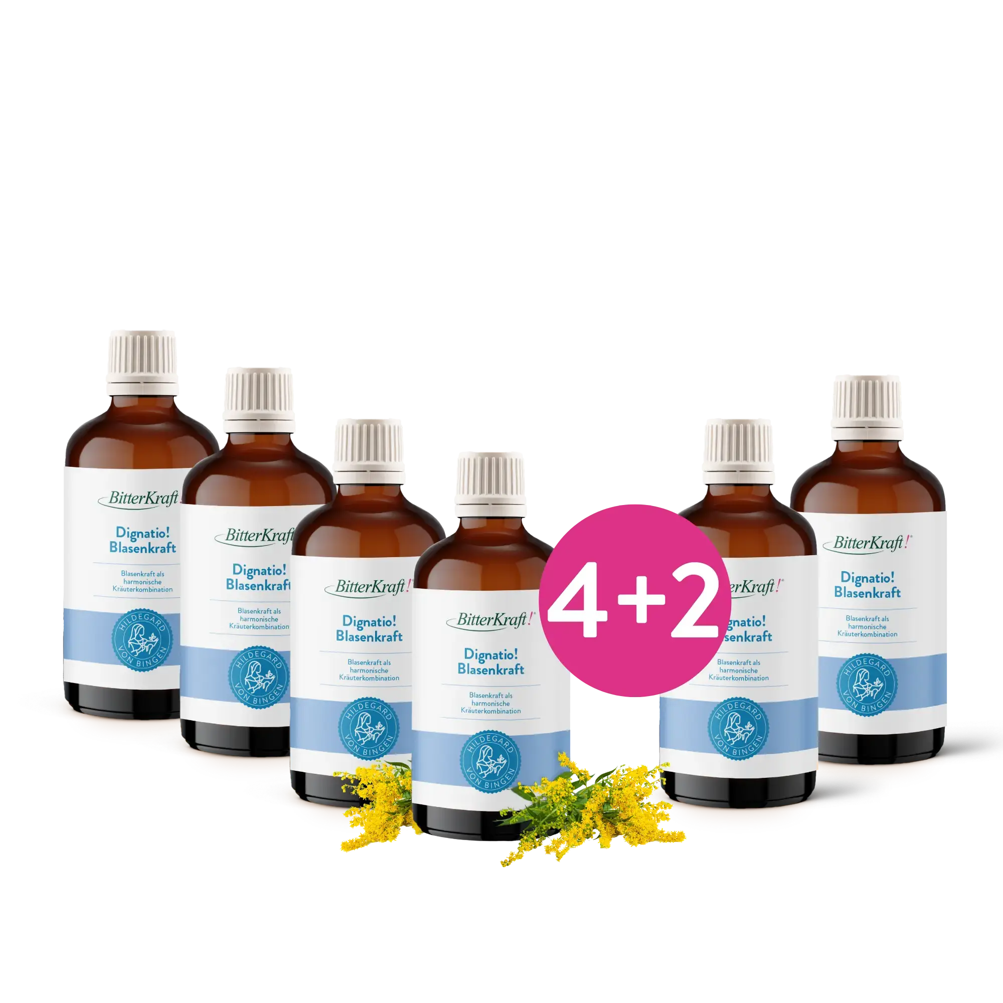 #variante_6x-Packungen