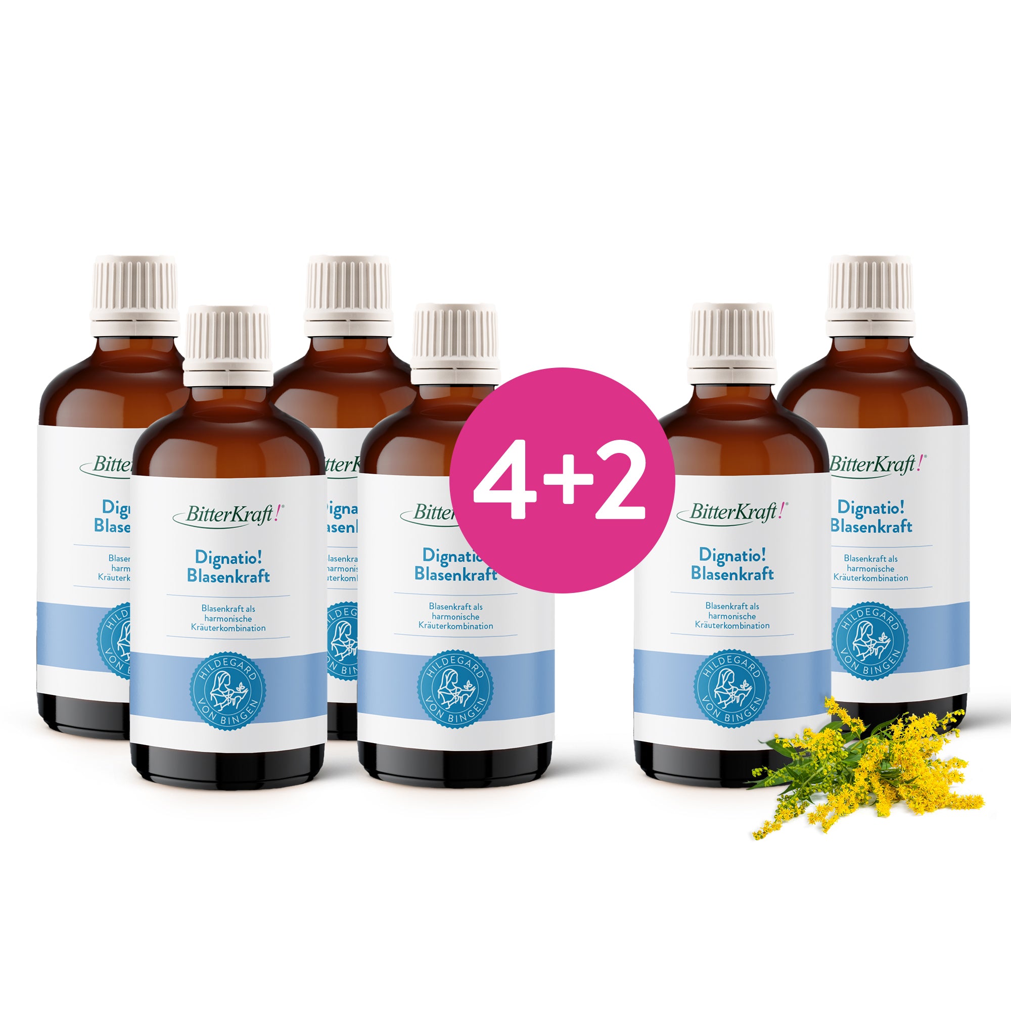 #variante_6x-Packungen