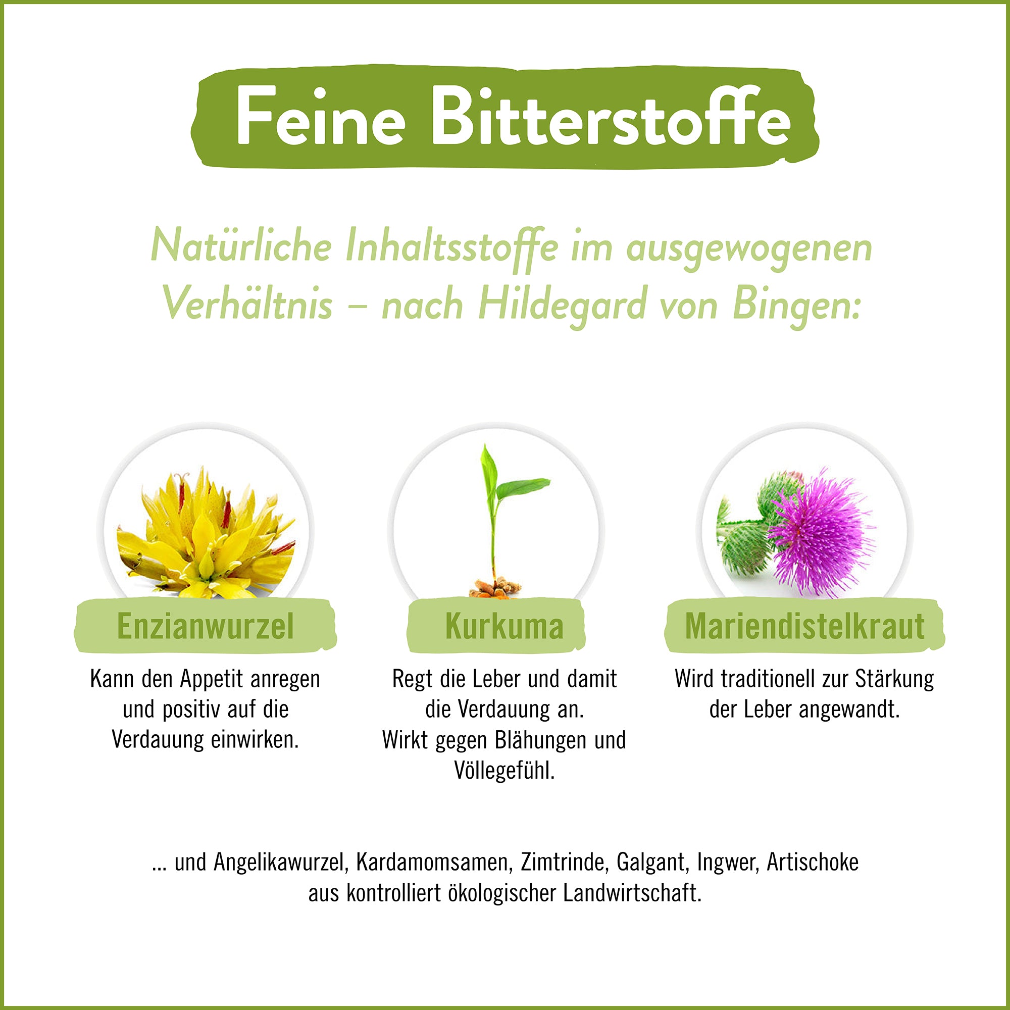 Lichtengel Suppe (BIO)