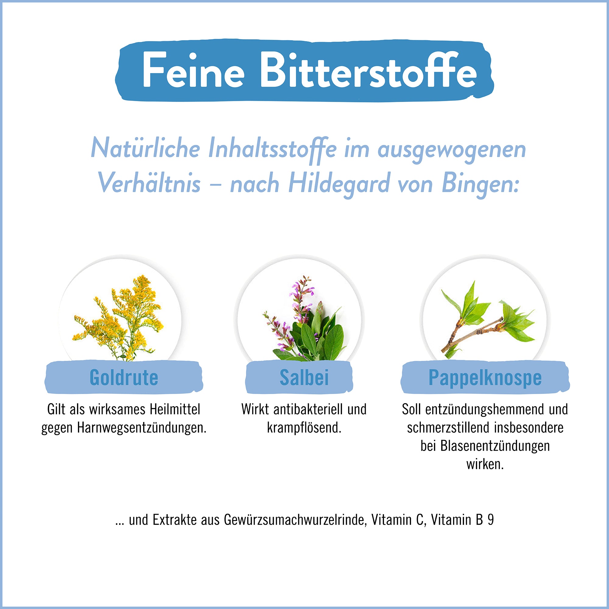 Dignatio! BlasenKraft