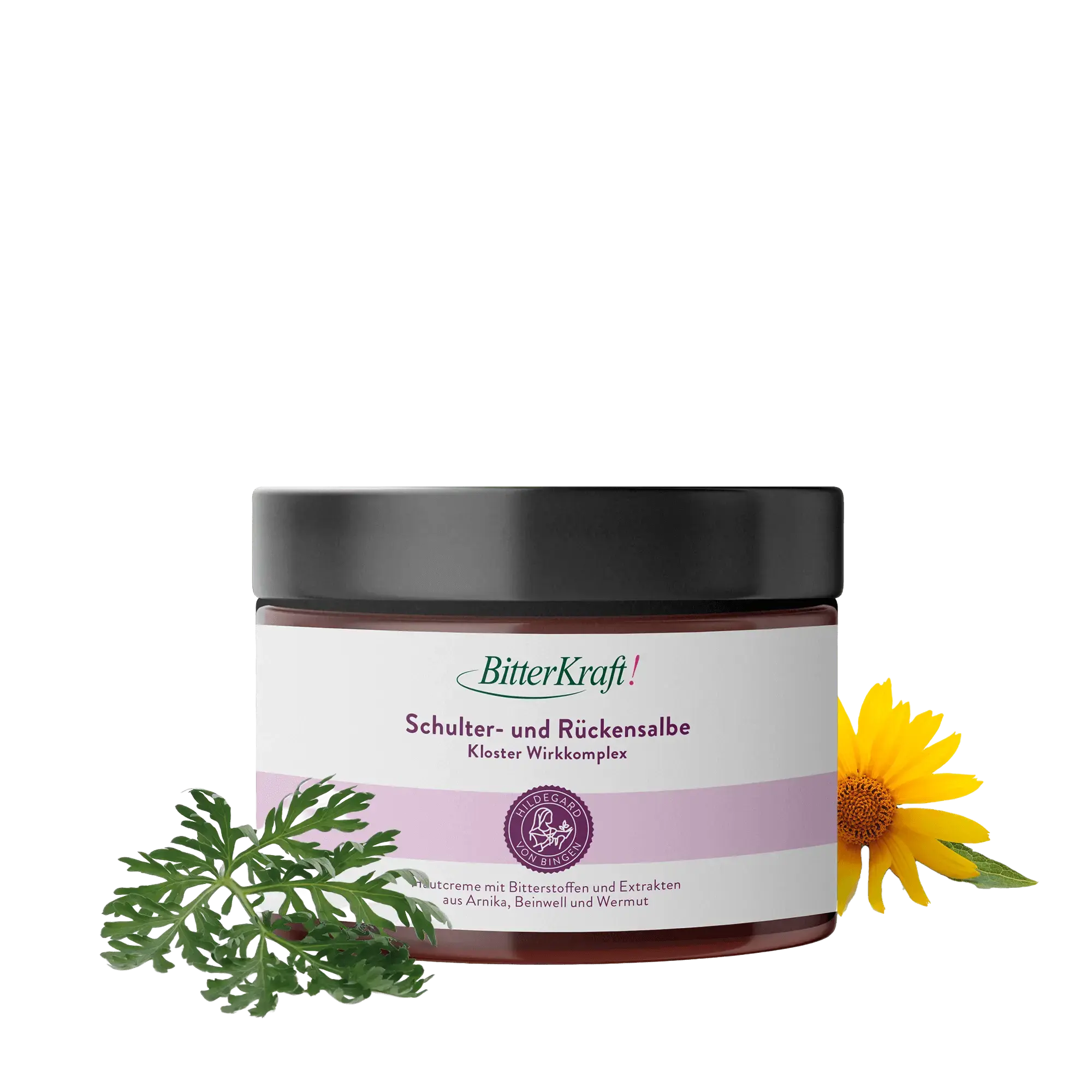 Schulter- und Rückensalbe Hildegard von Bingen