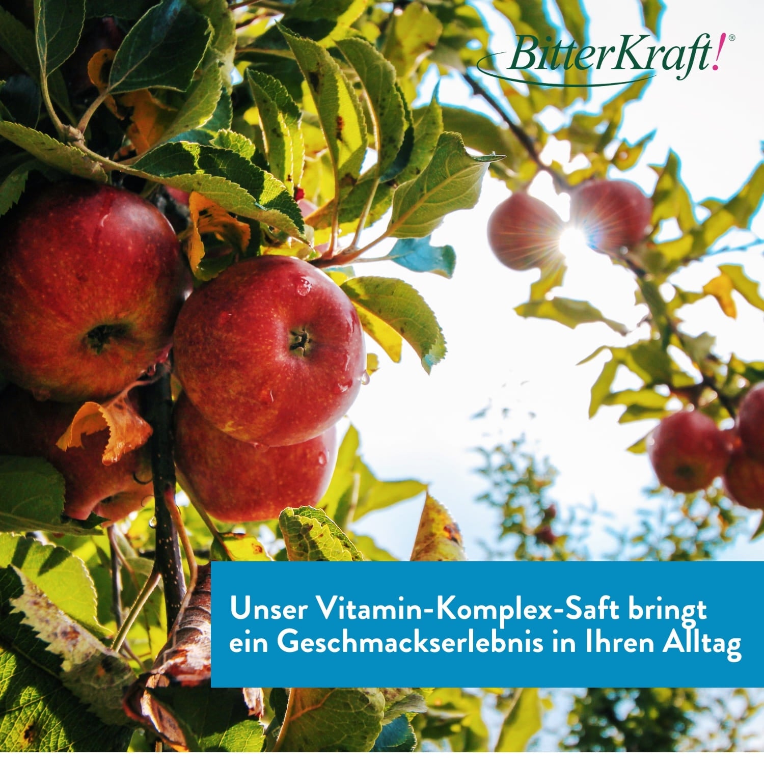 Vitamin Komplex Saft (BIO) 350ml