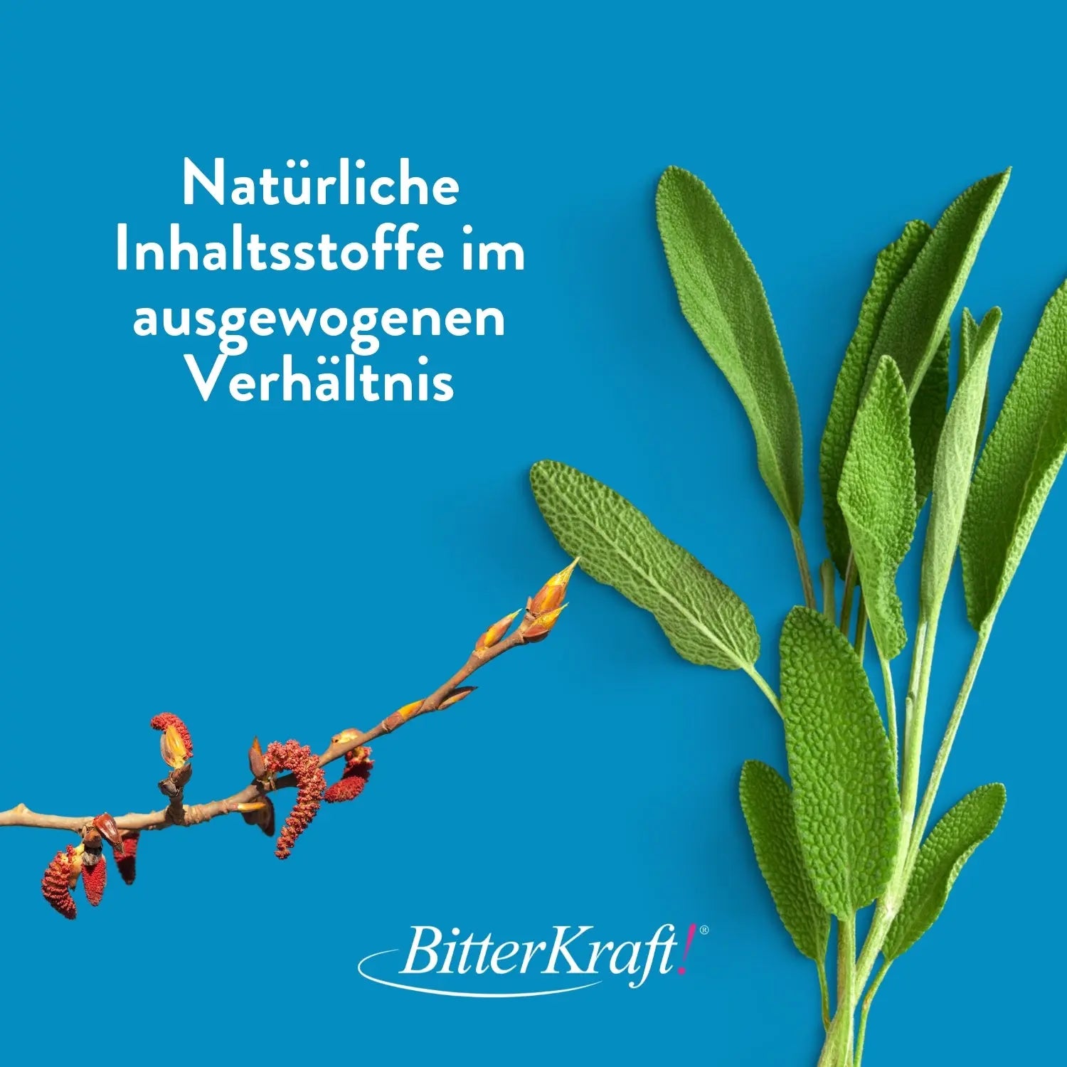 Dignatio! Blasenkraft 200ml