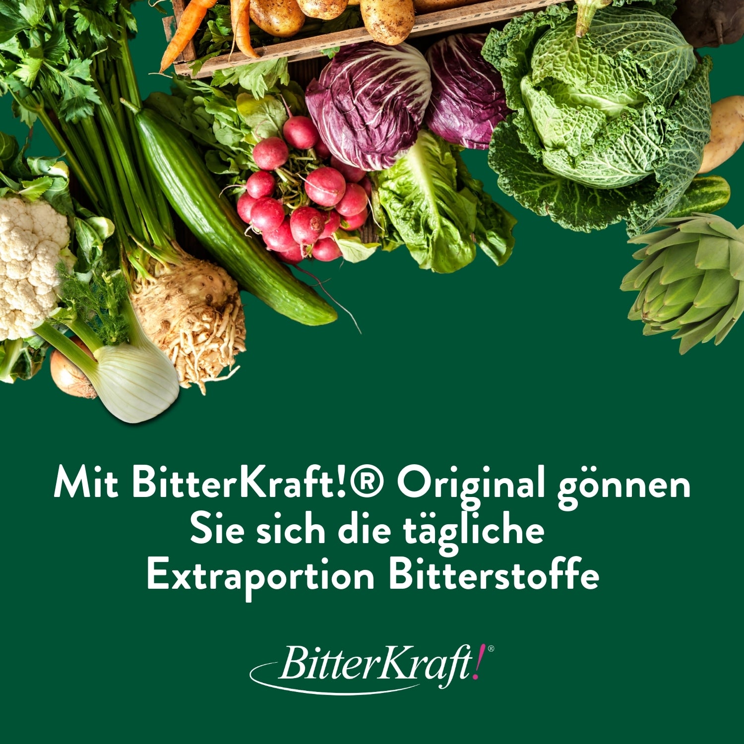 50 ml BitterKraft!Original (BIO) mit Pipette