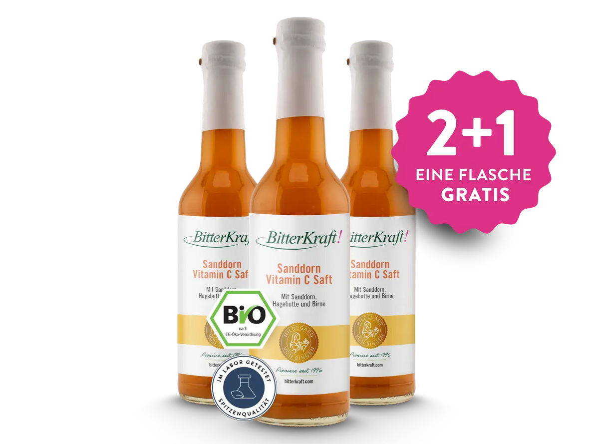 Sanddorn-Saft (BIO) 350ml