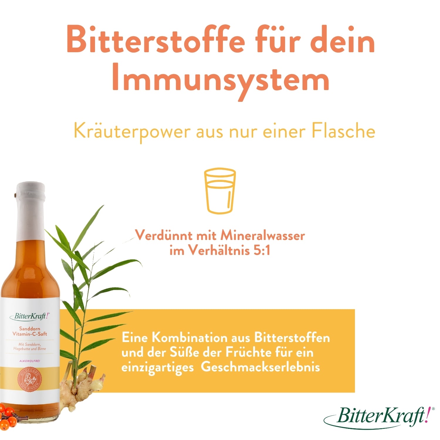 Sanddorn-Vitamin-C-Saft - 350ml  - BitterKraft! Saft gelb (BIO)