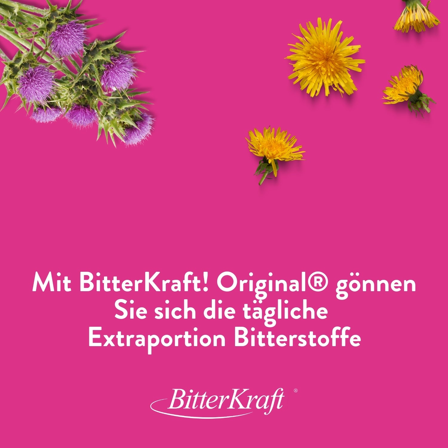 BitterKraft! Original Alkoholfrei 50ml Pipette (BIO)