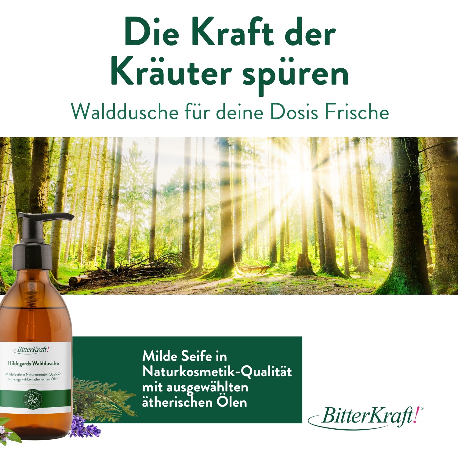 Hildegards Walddusche