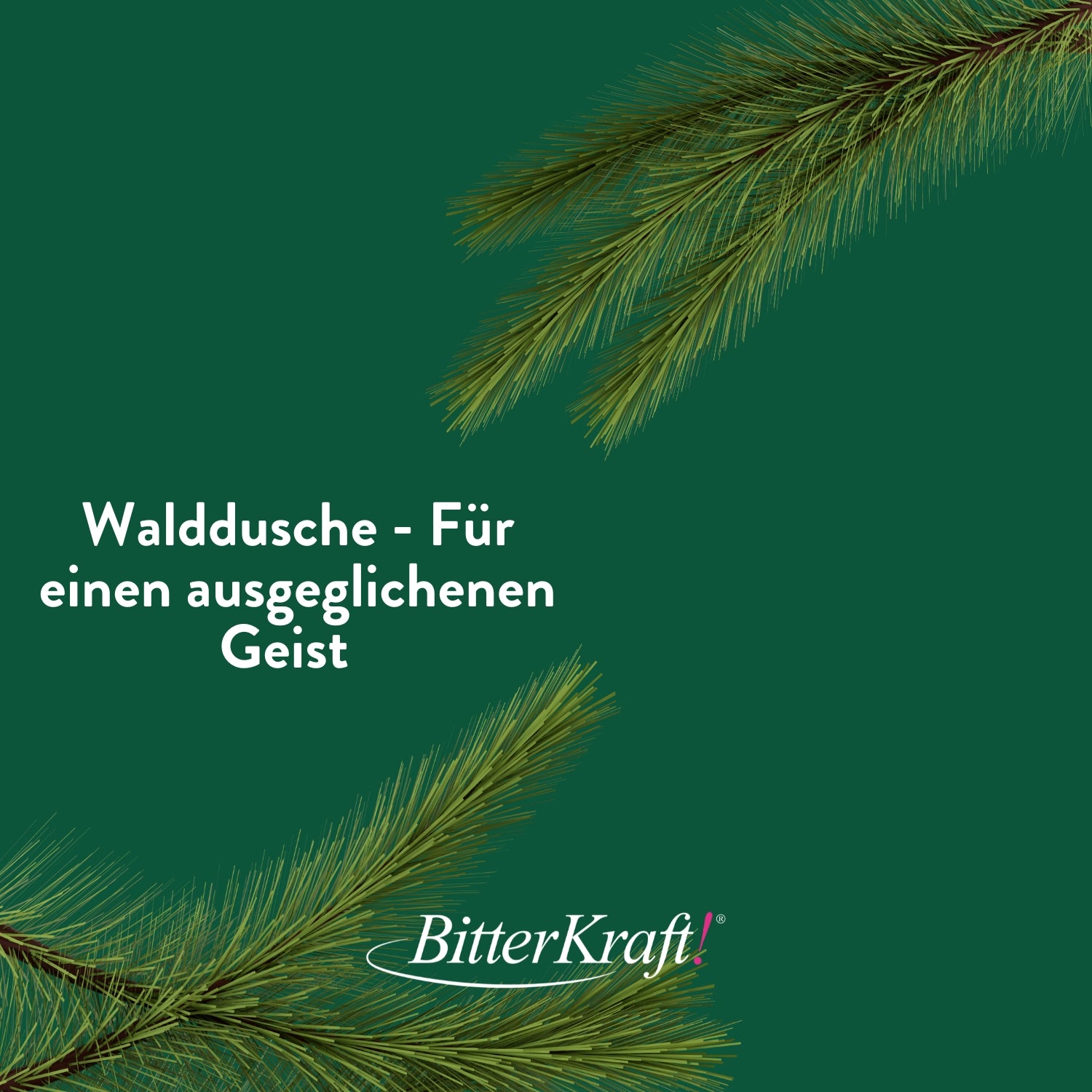 Hildegards Walddusche