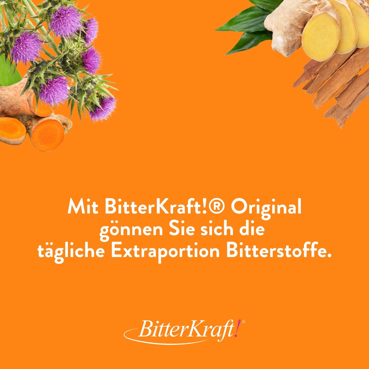 BitterKraft! Original Kurkuma Bitterstoffe Tropfen BIO 200ml