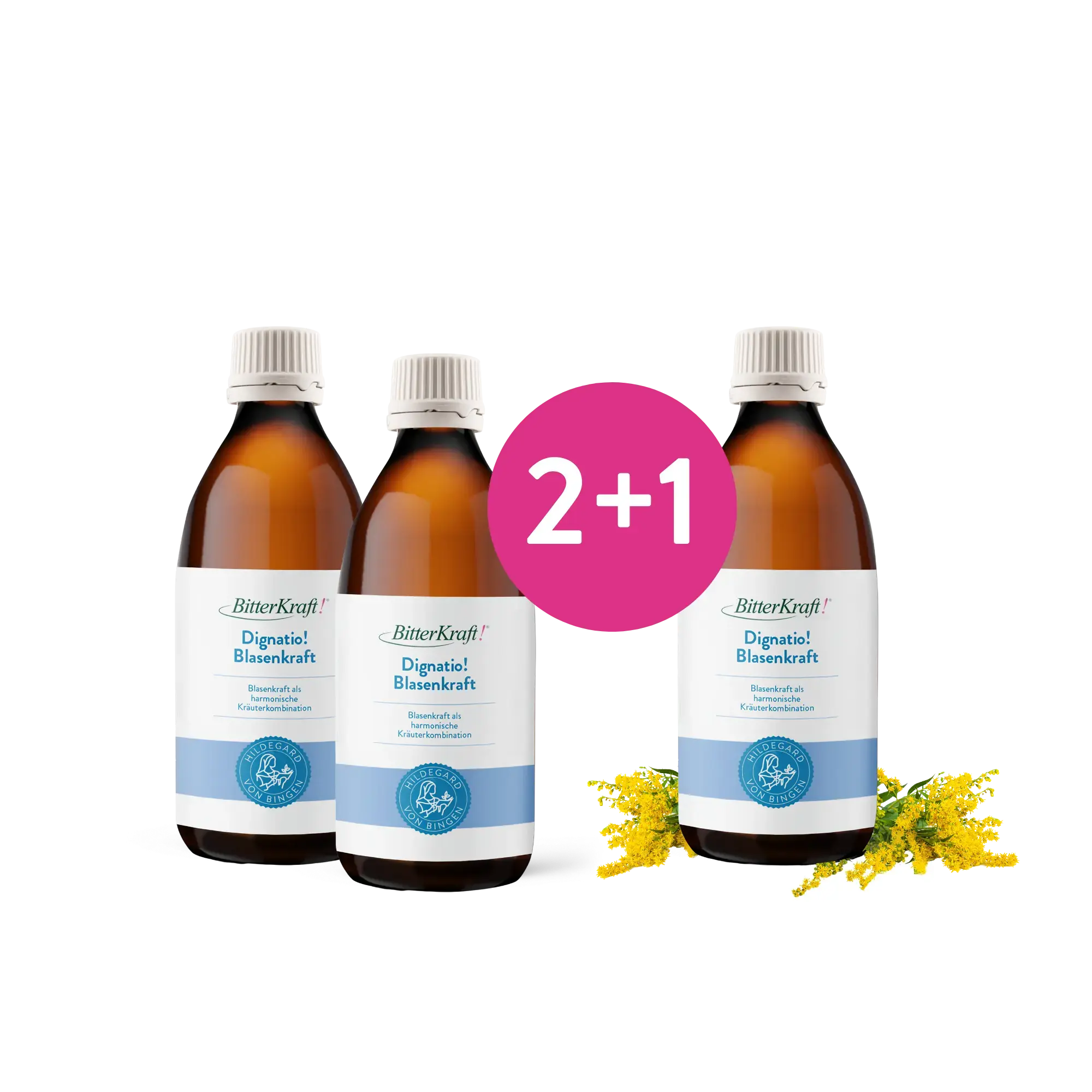 Dignatio! Blasenkraft 200ml Bitterkraft GmbH - Bitterkraft